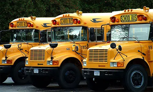 school bus