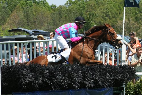 Carolina Cup
