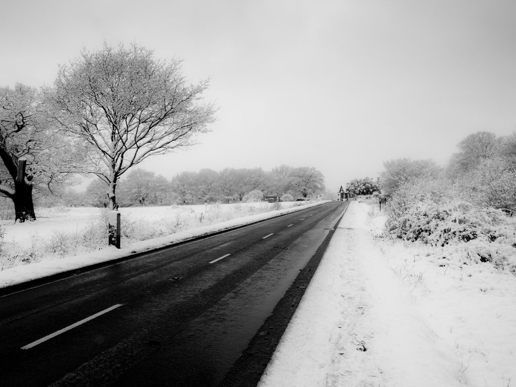 The Week in Travel January