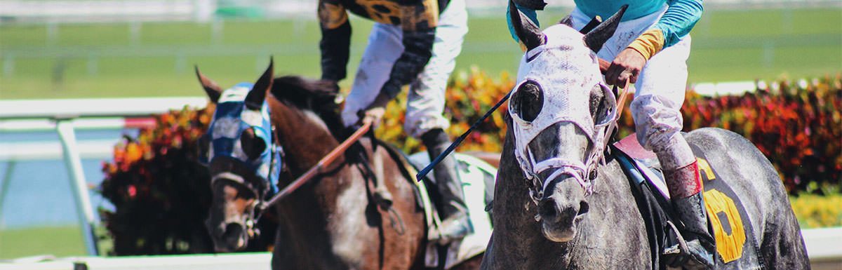 belmont stakes bus service