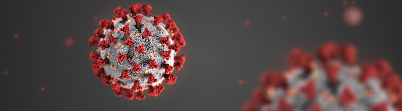 3D illustration of the novel coronavirus; image courtesy of CDC.gov